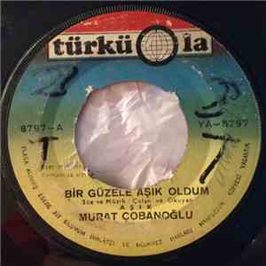 Aşık Murat Çobanoğlu - Bir Güzele Aşık Oldum download free