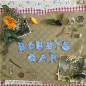 Bobby's Oar - Not What I'm Looking For download free