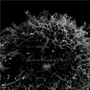 Daemogog - Ancient Extradigestional Rites download free
