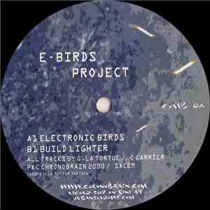 E-Birds Project - Electronic Birds / Build Lighter download free