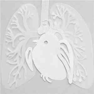 Entertainment For The Braindead - Postcard #3: Songs For The Breathless download free