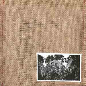 Eucalypt / Sophora - Eucalypt / Sophora download free