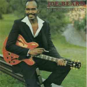 Joe Beard - No More Cherry Rose download free
