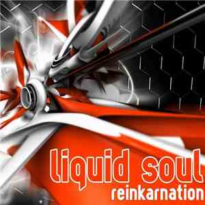 Liquid Soul  - Reinkarnation download free