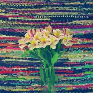 Mowbird - Islander download free
