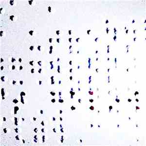Nundata - Tundra download free