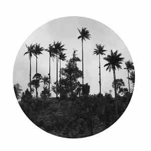 Paulo Olarte - Mil Años download free