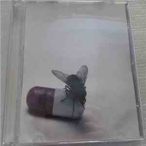 Red Hot Chili Peppers - I'm With You download free