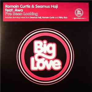 Romain Curtis & Seamus Haji Feat Awa  - I've Been Looking download free