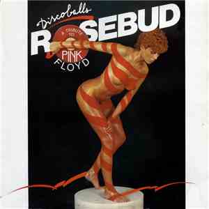 Rosebud - Discoballs (A Tribute To Pink Floyd) download free