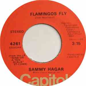 Sammy Hagar - Flamingos Fly download free