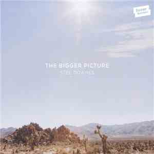 Stee Downes - The Bigger Picture download free