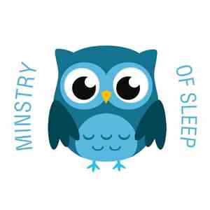 The Cat And Owl - Ministry Of Sleep download free