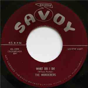 The Wanderers  - What Do I Do / My First, Last And Only Gal download free