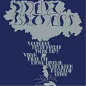 Various - Andra Bränder download free
