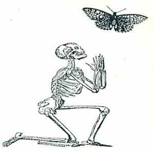 Various - Entomusicoaugurorologia 1991 download free